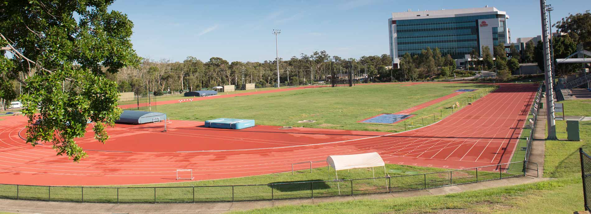 Griffith University Oceania Australia Foundation - Athletics Business Scholarship 